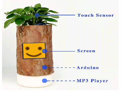 Expressive Plant: A Multisensory Interactive System for Sensory Training of Children with Autism.